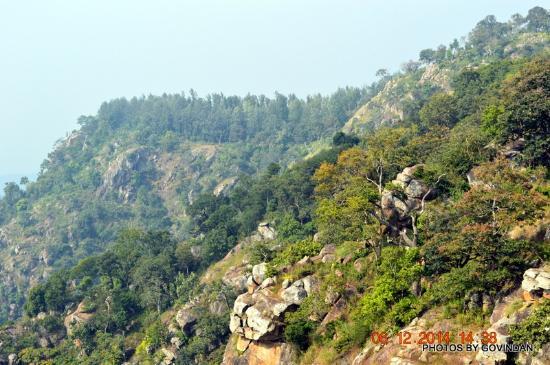 Karadiyoor View Point